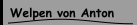 Welpen von Anton